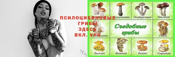 молекула духа Заволжск