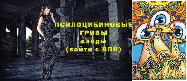 соль ск Заводоуковск