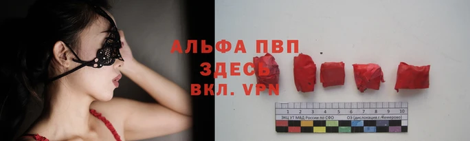 соль ск Заводоуковск