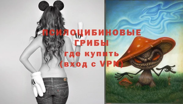 молекула духа Заволжск