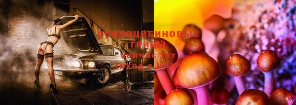 винт Заволжье