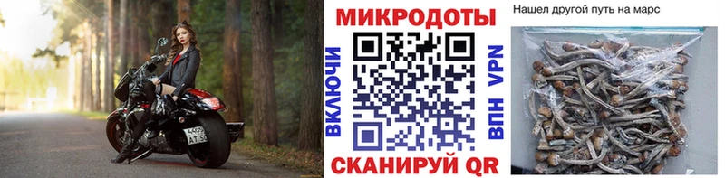 Купить закладки  Дрезна  Псилоцибиновые грибы Cubensis 